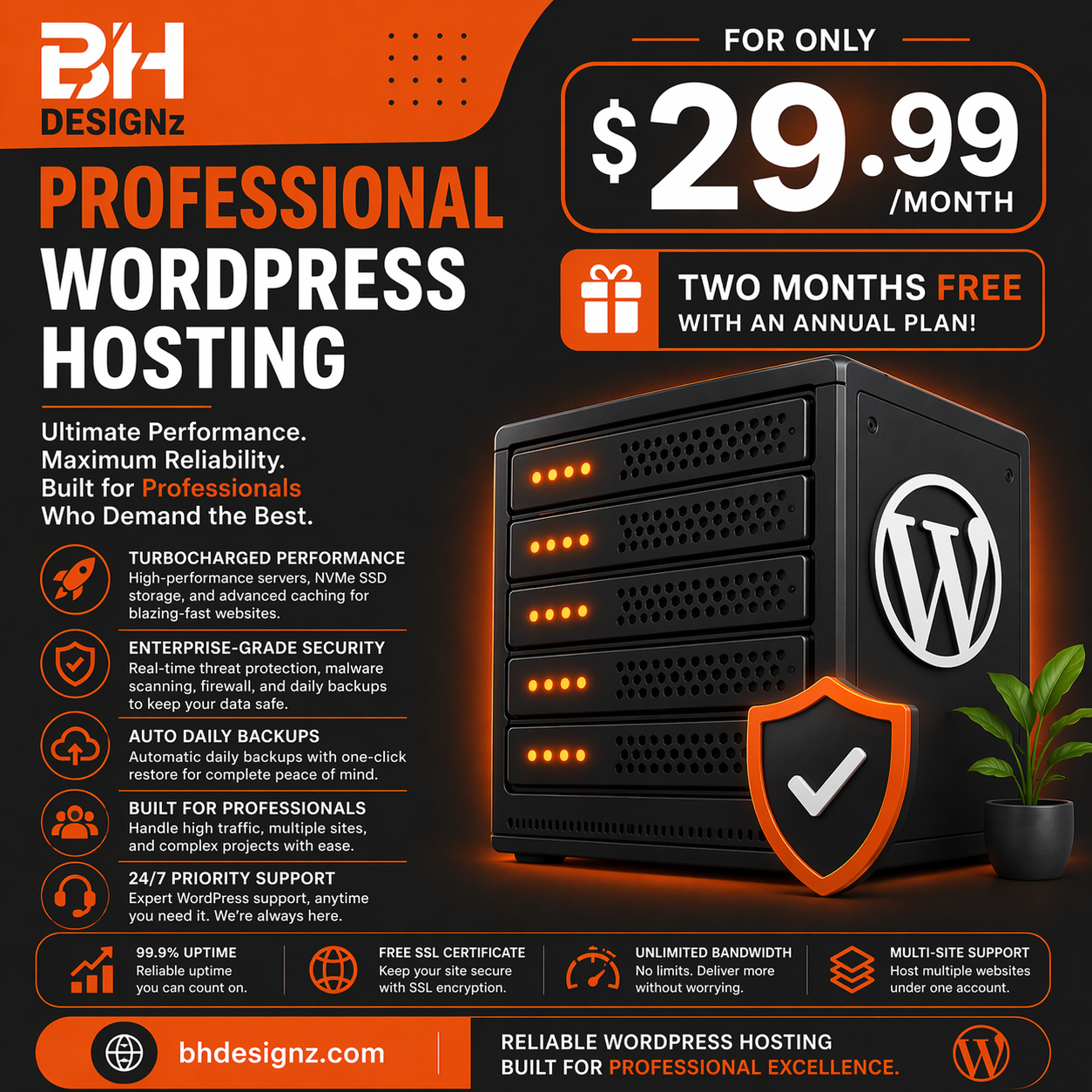Professional WordPress Hosting